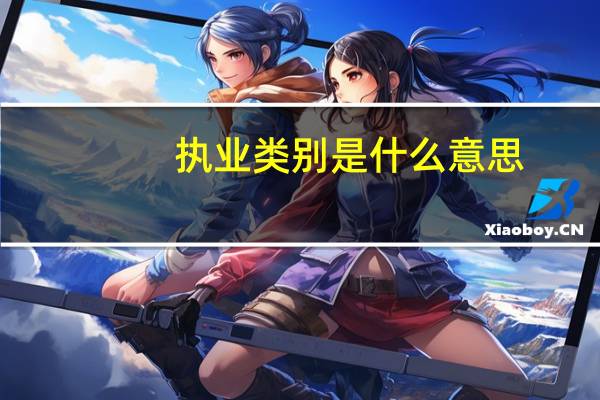 执业类别是什么意思