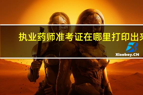 执业药师准考证在哪里打印出来