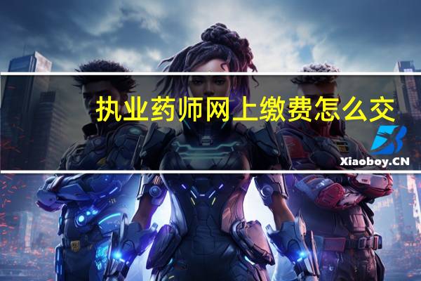 执业药师网上缴费怎么交