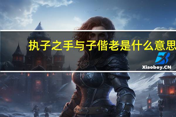执子之手与子偕老是什么意思