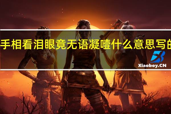 执手相看泪眼竟无语凝噎什么意思写的朋友么