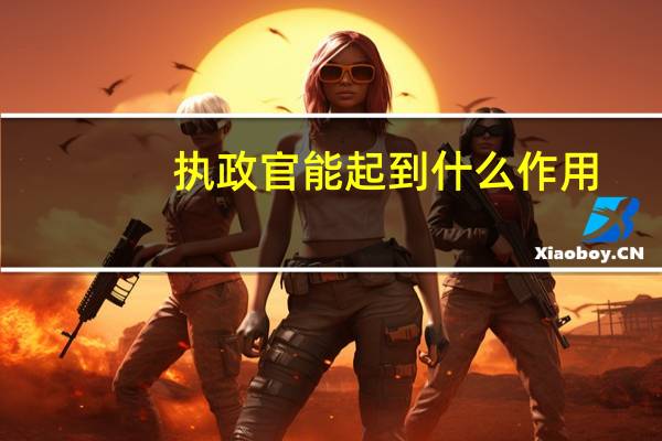 执政官能起到什么作用