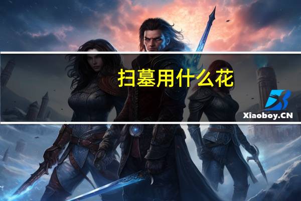 扫墓用什么花