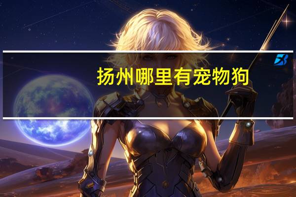 扬州哪里有宠物狗