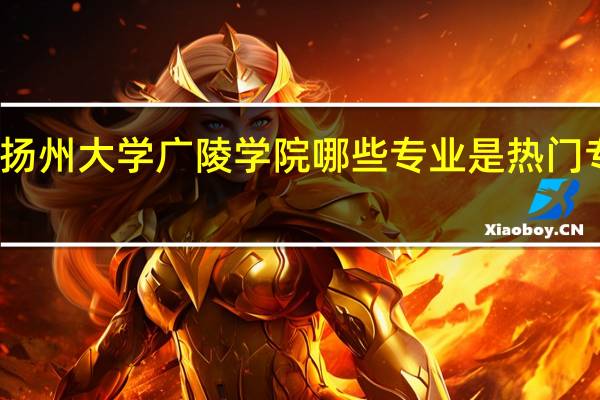 扬州大学广陵学院哪些专业是热门专业啊