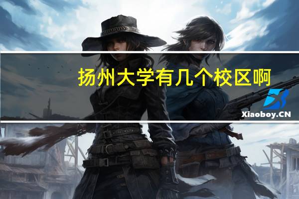 扬州大学有几个校区啊