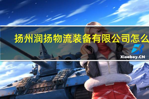 扬州润扬物流装备有限公司怎么样