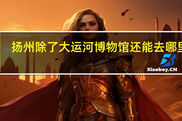扬州除了大运河博物馆还能去哪里玩