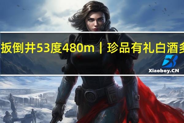 扳倒井53度480m｜珍品有礼白酒多少钱