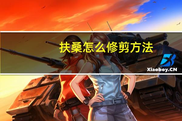 扶桑怎么修剪方法