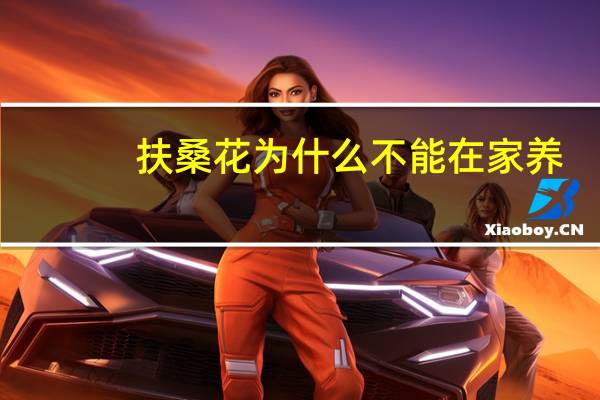 扶桑花为什么不能在家养