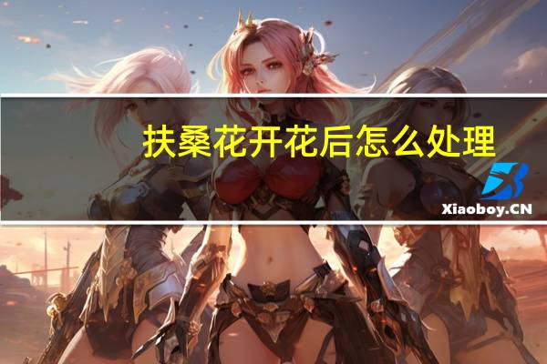 扶桑花开花后怎么处理