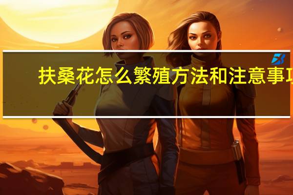 扶桑花怎么繁殖方法和注意事项