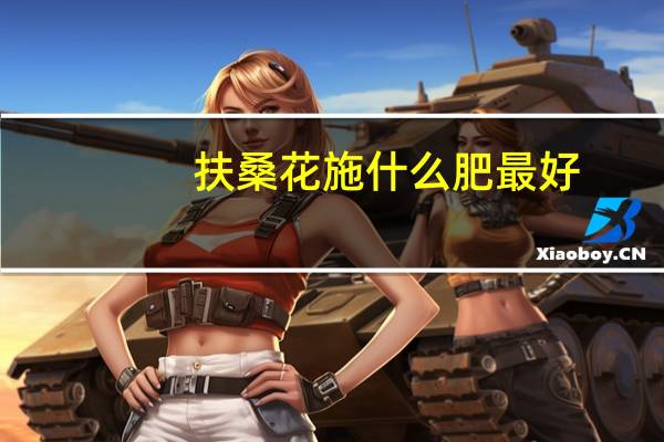 扶桑花施什么肥最好