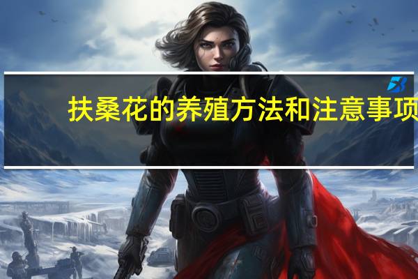 扶桑花的养殖方法和注意事项