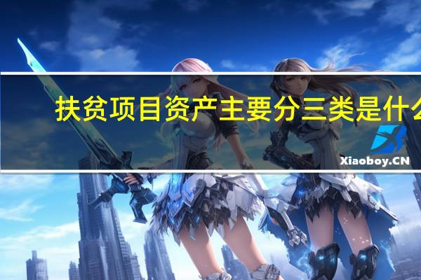 扶贫项目资产主要分三类是什么（扶贫项目）