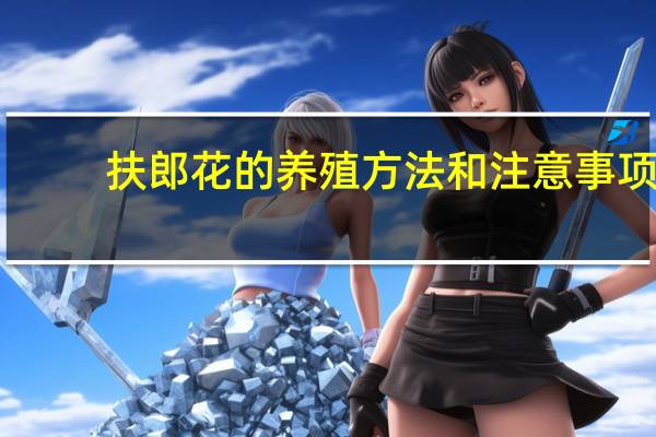 扶郎花的养殖方法和注意事项