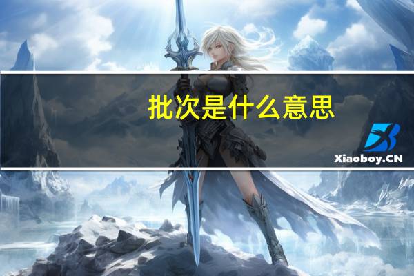 批次 是什么意思