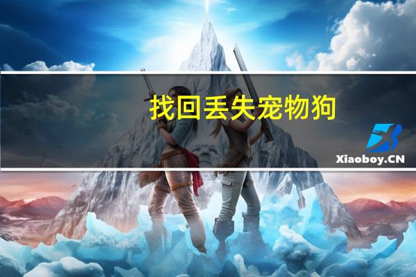 找回丢失宠物狗