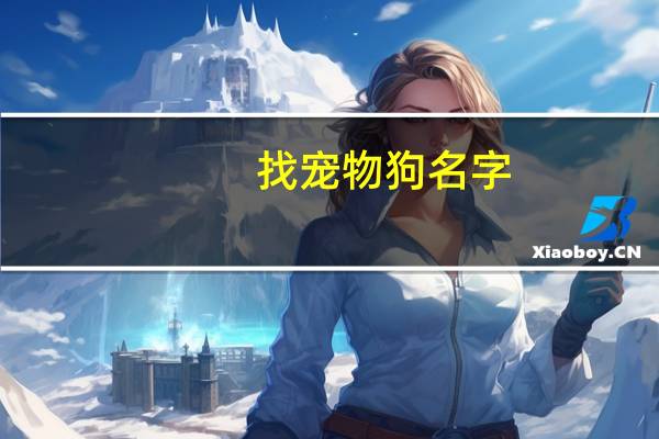 找宠物狗名字
