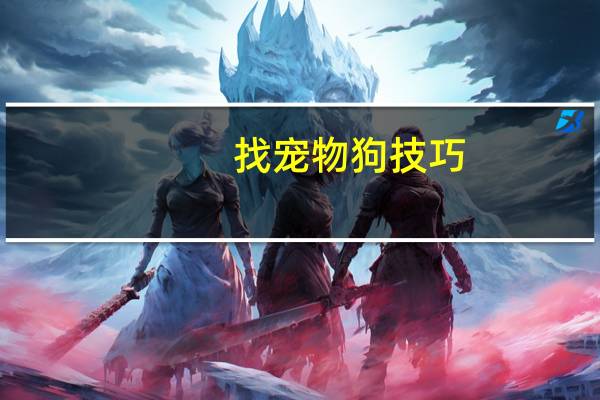 找宠物狗技巧