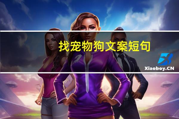 找宠物狗文案短句