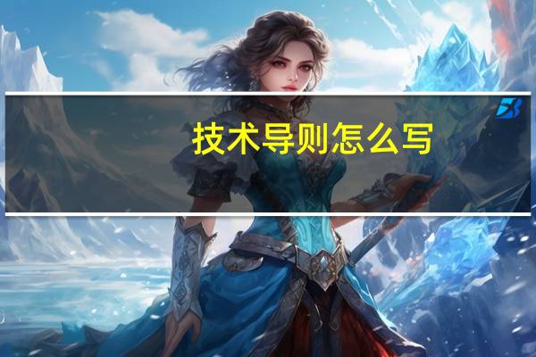 技术导则怎么写（技术导则）