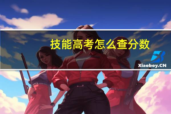 技能高考怎么查分数