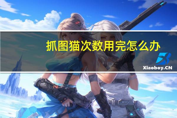 抓图猫次数用完怎么办（抓图）