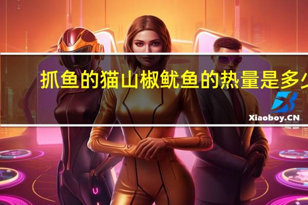 抓鱼的猫 山椒鱿鱼的热量是多少