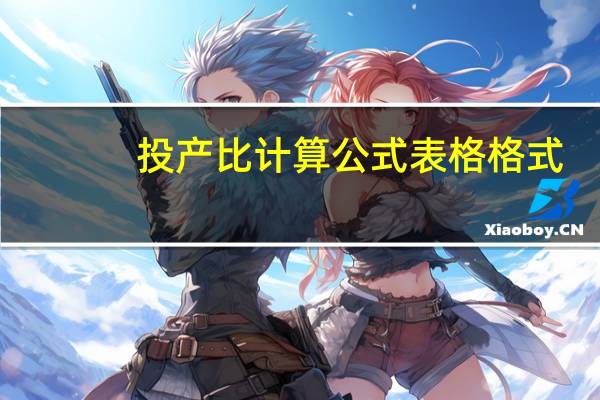 投产比计算公式表格格式（投产比计算公式）