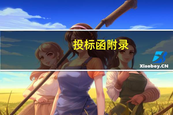 投标函附录