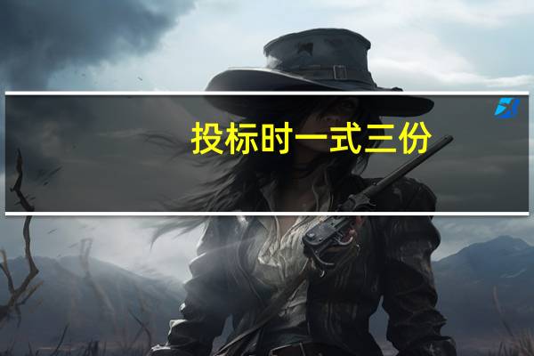 投标时一式三份，一正二副，封装什么意思