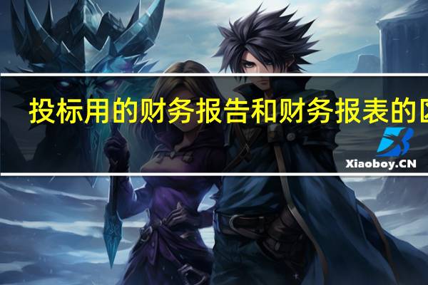 投标用的财务报告和财务报表的区别（财务报告和财务报表的区别）