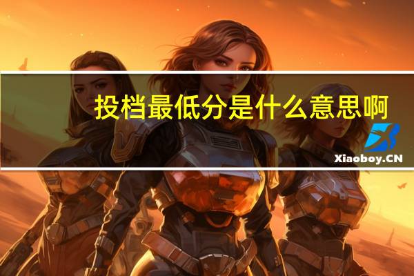 投档最低分是什么意思啊