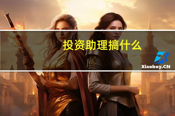 投资助理搞什么