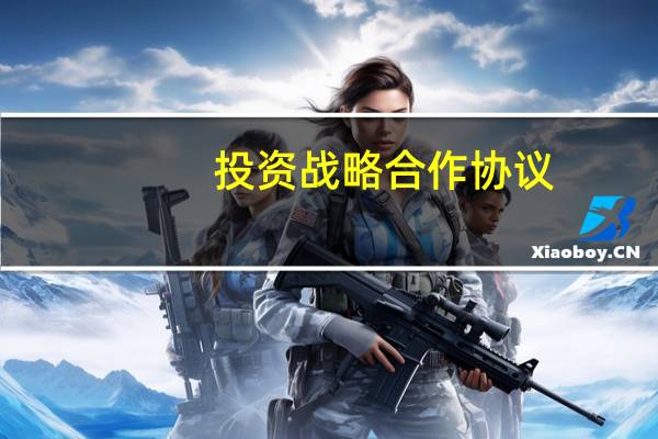 投资战略合作协议（投资战略）