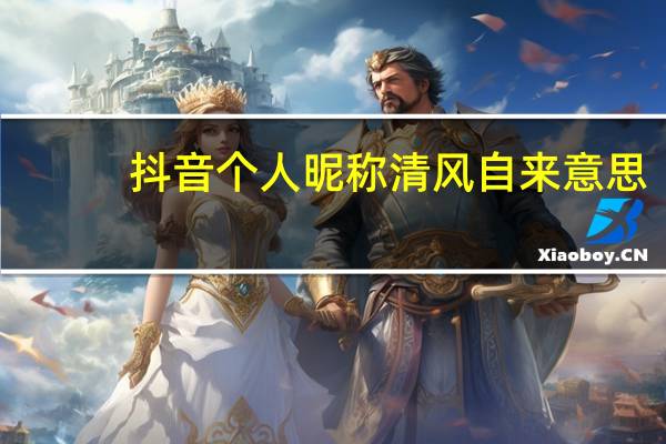 抖音个人昵称清风自来意思