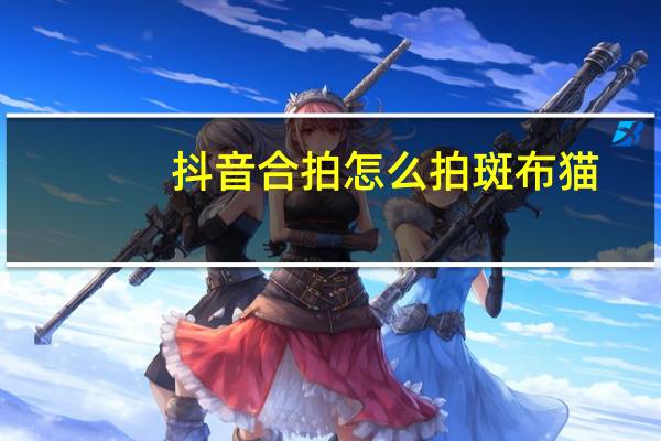 抖音合拍怎么拍斑布猫(抖音合拍怎么拍)