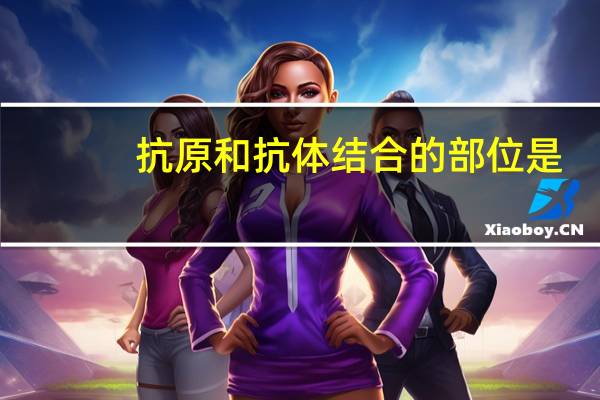 抗原和抗体结合的部位是（抗原和抗体）