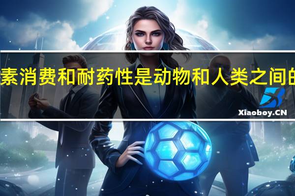 抗生素消费和耐药性是动物和人类之间的双向道路