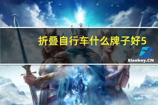 折叠自行车什么牌子好5