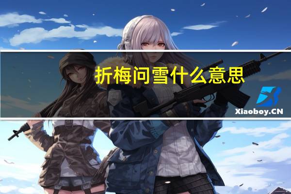 折梅问雪什么意思