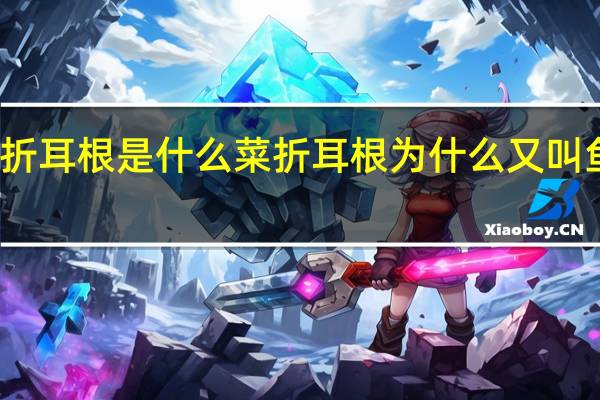 折耳根是什么菜 折耳根为什么又叫鱼腥草