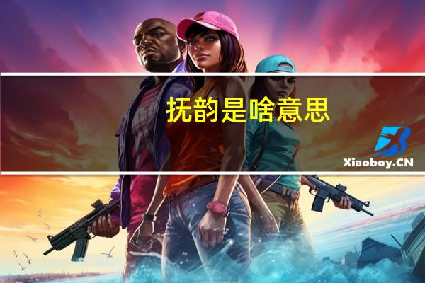 抚韵是啥意思