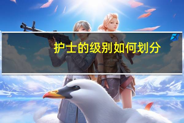 护士的级别如何划分