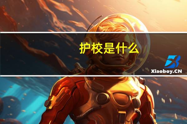 护校是什么