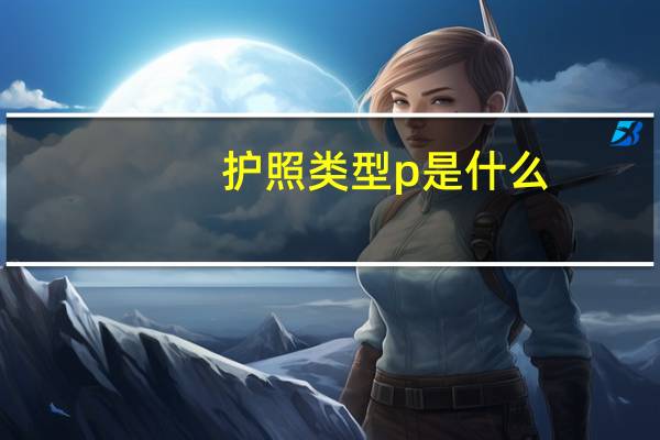 护照类型p是什么
