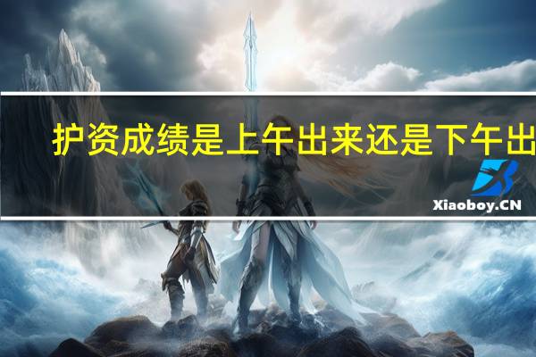 护资成绩是上午出来还是下午出来