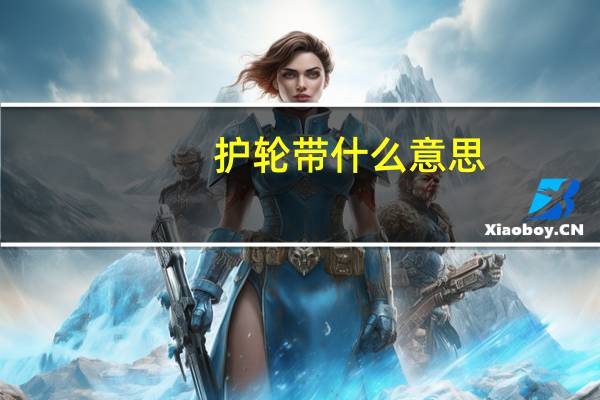 护轮带什么意思